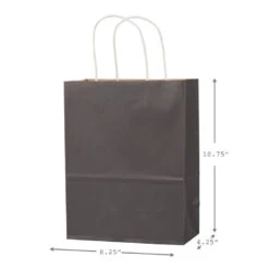 Hallmark 10.7" 12-Pack Assorted Kraft Paper Gift Bags -Hallmark Shop 10.7 Prints and Solids 12Pack Assorted Gift Bags 5EGB6051 03