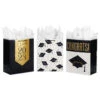 Hallmark 13" Assorted Grad Designs 3-Pack Large Gift Bags With Tissue Paper -Hallmark Shop Assorted Grad Designs 3Pack Large Gift Bags With Tissue Paper 5GBC1015 01