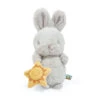 Bunnies By The Bay Sweet Bloom Bunny Stuffed Animal With Toy Sun, 9" -Hallmark Shop Bunnies by the Bay Gray Bunny Stuffed Animal With Toy Sun 104327 01