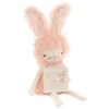 Hallmark MopTops Angora Bunny Stuffed Animal With You Are Loved Board Book -Hallmark Shop MopTops Plush Bunny Stuffed Animal Board Book 1KID1531 01
